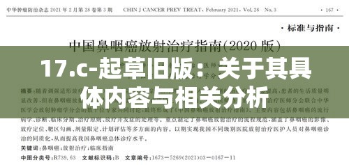 17.c-起草旧版：关于其具体内容与相关分析