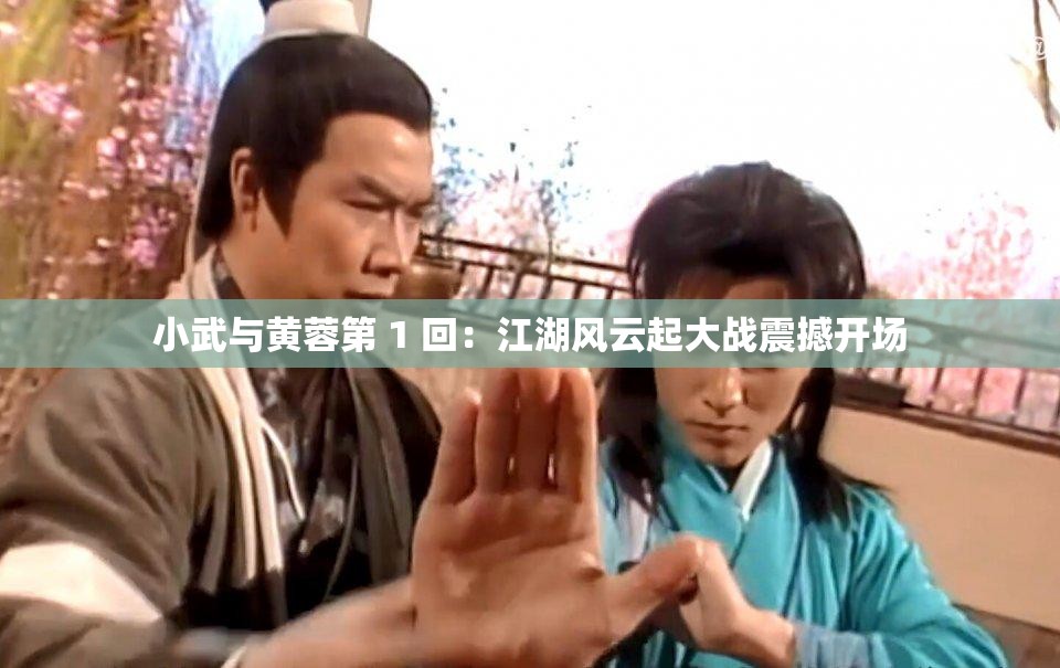 小武与黄蓉第 1 回：江湖风云起大战震撼开场