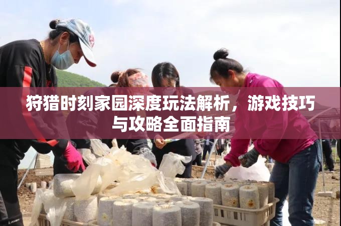 狩猎时刻家园深度玩法解析，游戏技巧与攻略全面指南