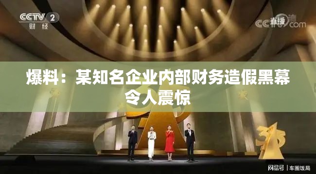 爆料：某知名企业内部财务造假黑幕令人震惊