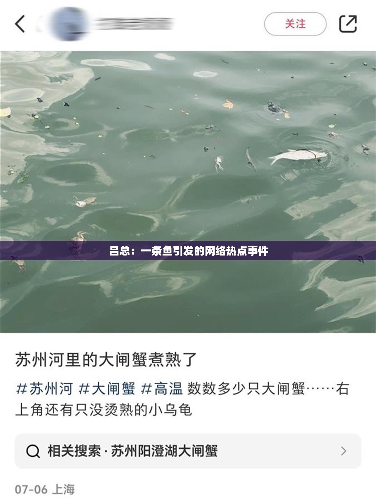 吕总：一条鱼引发的网络热点事件