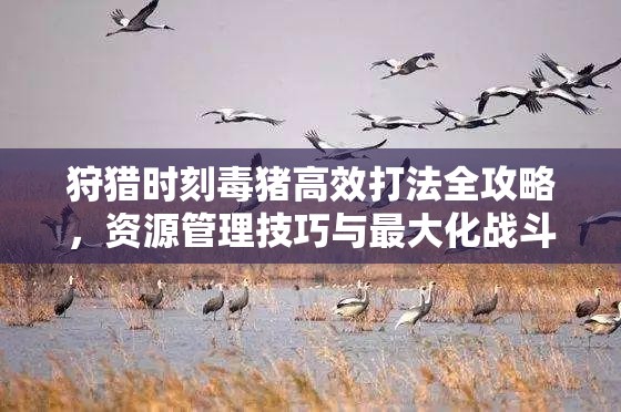 狩猎时刻毒猪高效打法全攻略，资源管理技巧与最大化战斗价值解析