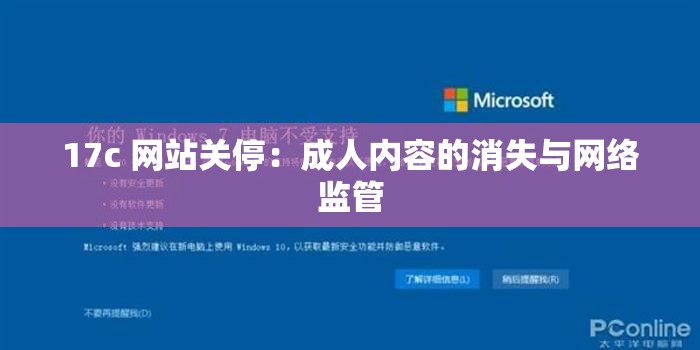 17c 网站关停：成人内容的消失与网络监管
