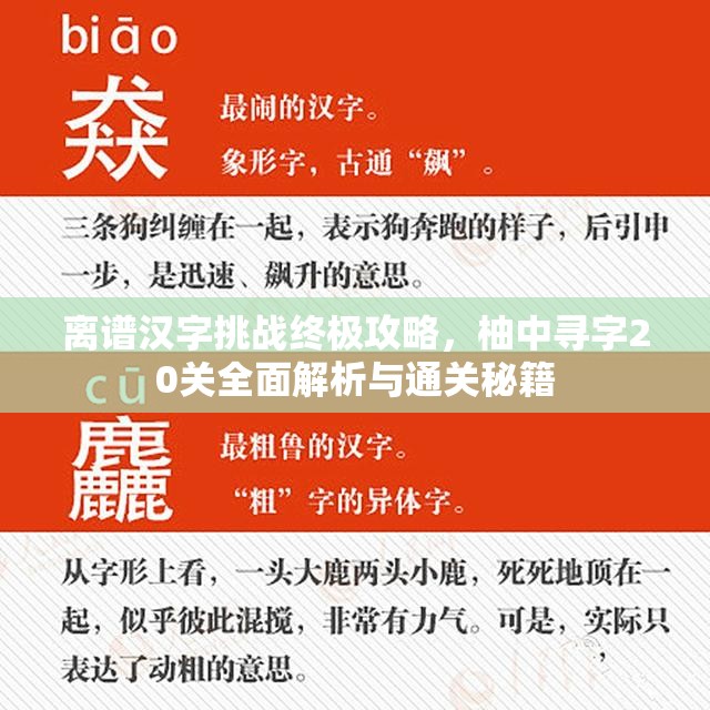 离谱汉字挑战终极攻略，柚中寻字20关全面解析与通关秘籍