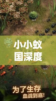 小小蚁国深度解析，野怪种类全揭秘与高效选择策略大公开