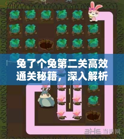 兔了个兔第二关高效通关秘籍，深入解析资源管理的核心重要性与实践策略