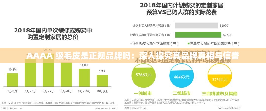 AAAA 级毛皮是正规品牌吗：深入探究其品牌真相与信誉
