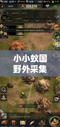 小小蚁国野外采集效率全面升级指南，掌握秘籍，轻松打造顶尖高效采集王国