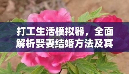打工生活模拟器，全面解析娶妻结婚方法及其在资源管理策略中的关键作用