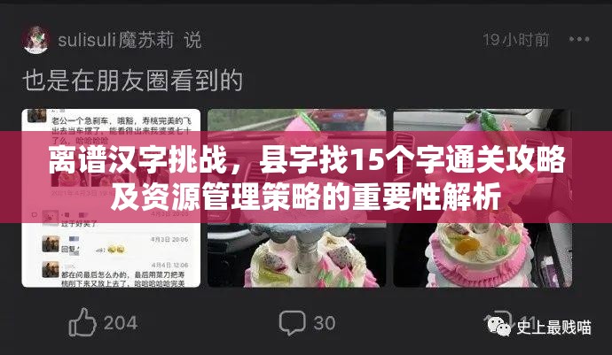 离谱汉字挑战，县字找15个字通关攻略及资源管理策略的重要性解析