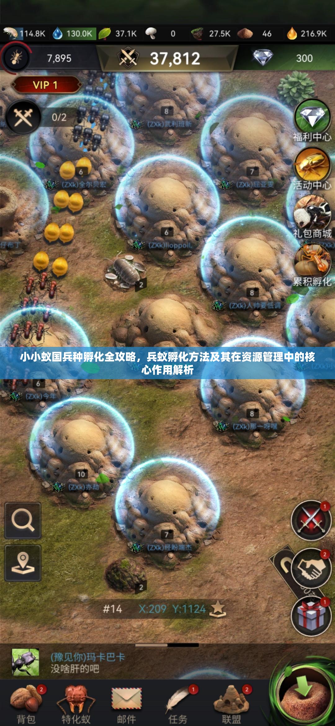 小小蚁国兵种孵化全攻略，兵蚁孵化方法及其在资源管理中的核心作用解析