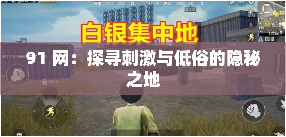 91 网：探寻刺激与低俗的隐秘之地