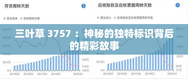 三叶草 3757 ：神秘的独特标识背后的精彩故事