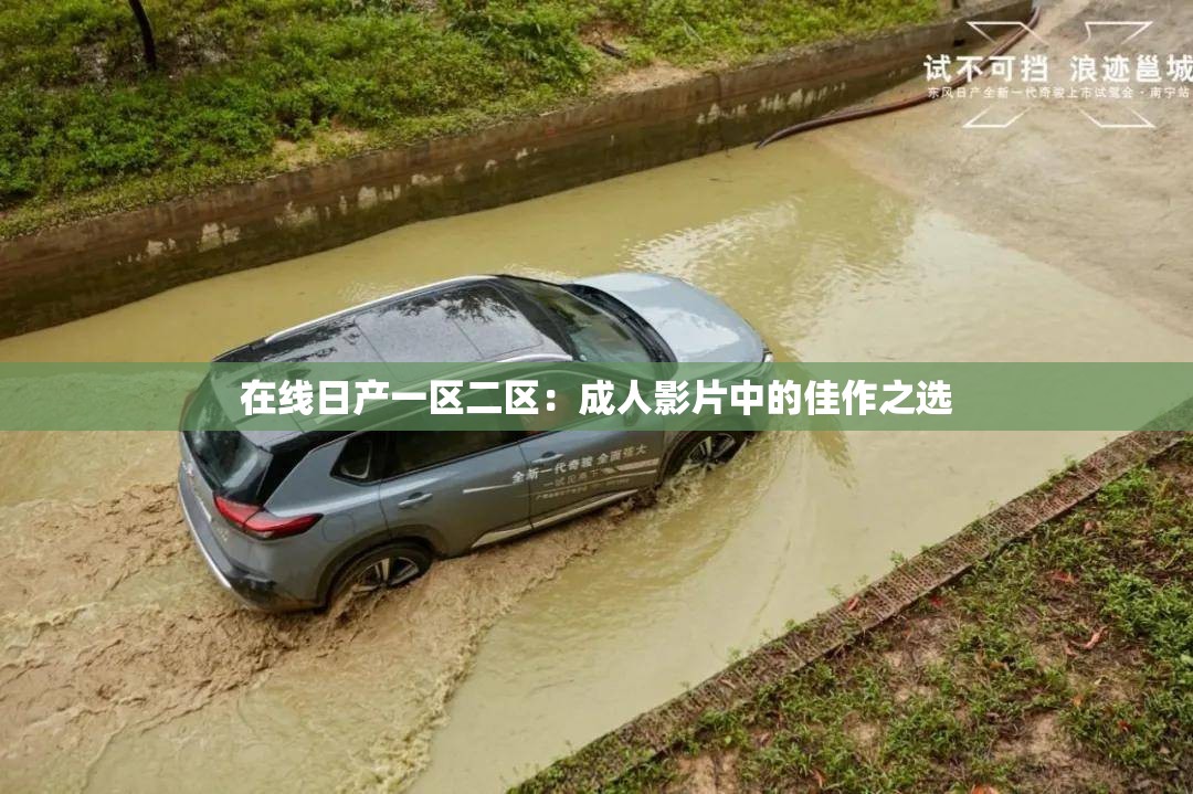 在线日产一区二区：成人影片中的佳作之选