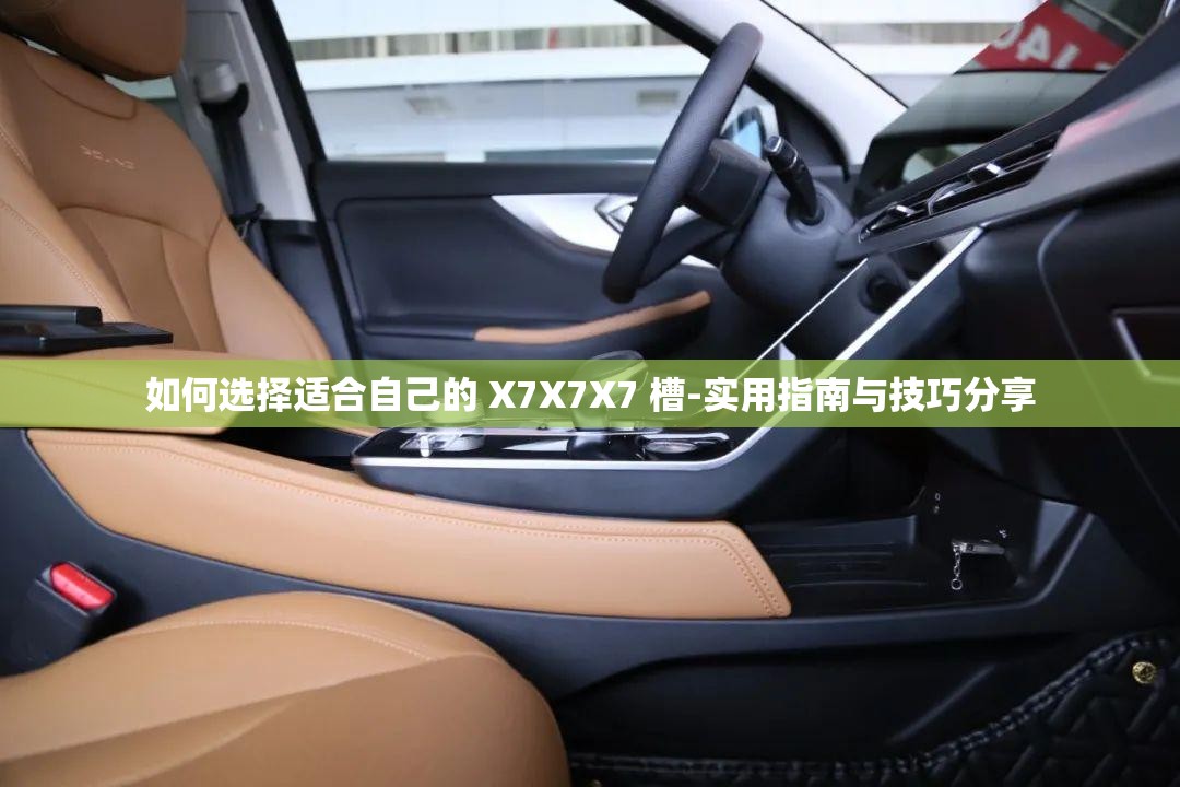 如何选择适合自己的 X7X7X7 槽-实用指南与技巧分享