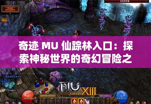 奇迹 MU 仙踪林入口：探索神秘世界的奇幻冒险之旅