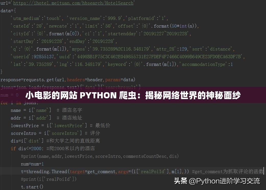 小电影的网站 PYTHON 爬虫：揭秘网络世界的神秘面纱