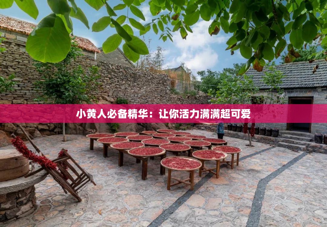 小黄人必备精华：让你活力满满超可爱