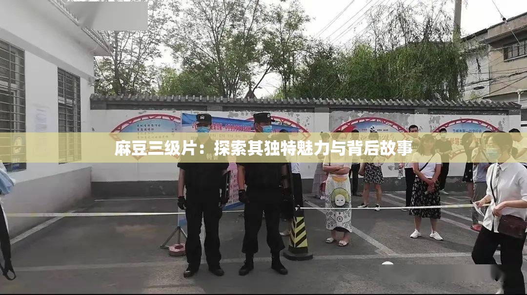 麻豆三级片：探索其独特魅力与背后故事