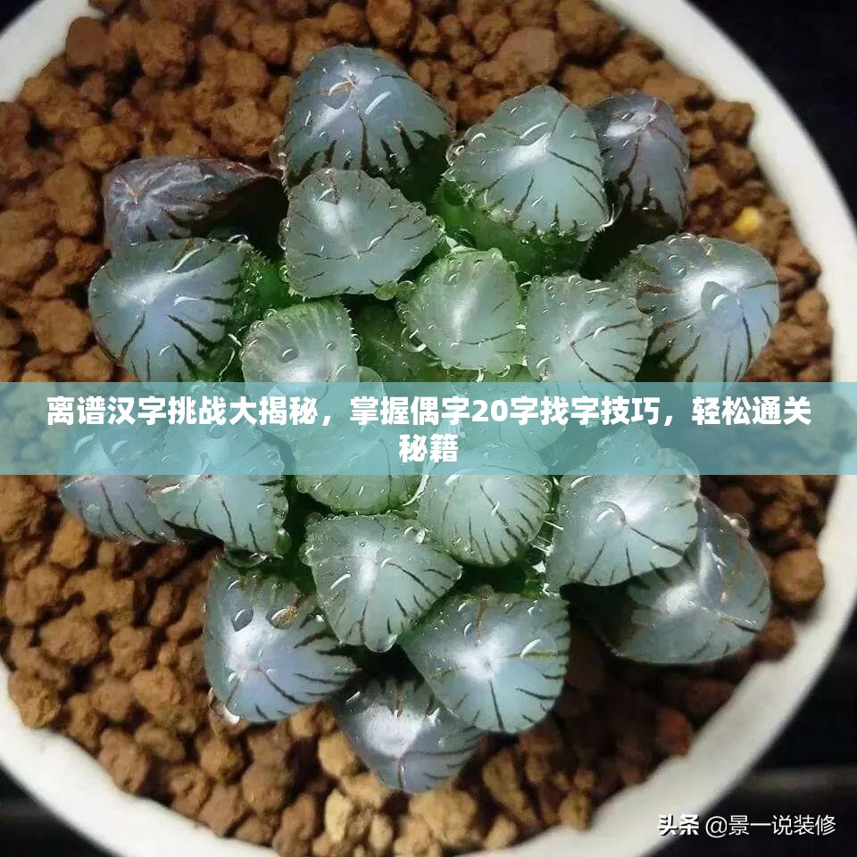 离谱汉字挑战大揭秘，掌握偶字20字找字技巧，轻松通关秘籍