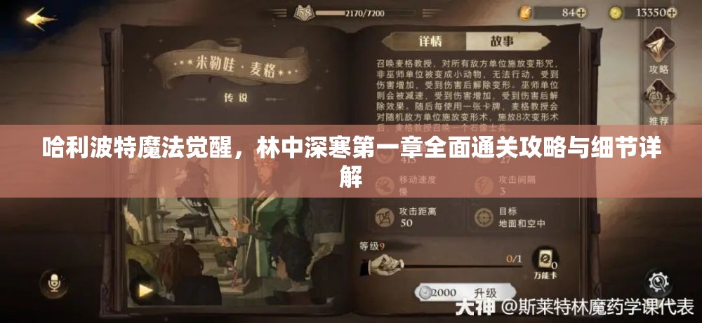 哈利波特魔法觉醒，林中深寒第一章全面通关攻略与细节详解