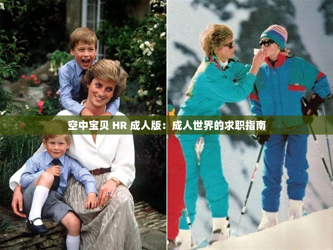 空中宝贝 HR 成人版：成人世界的求职指南