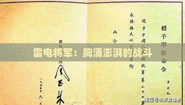 雷电将军：胸涌澎湃的战斗