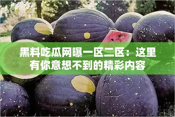 黑料吃瓜网曝一区二区：这里有你意想不到的精彩内容
