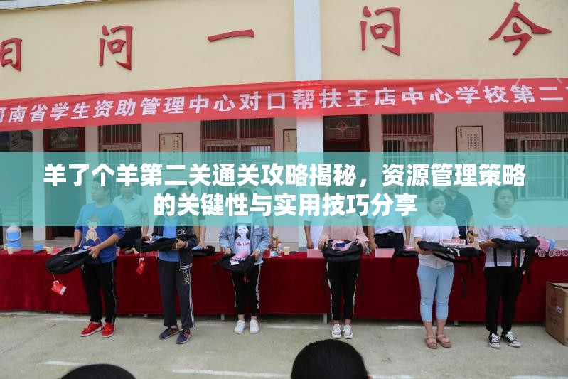 羊了个羊第二关通关攻略揭秘，资源管理策略的关键性与实用技巧分享