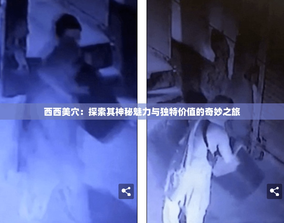 西西美穴：探索其神秘魅力与独特价值的奇妙之旅