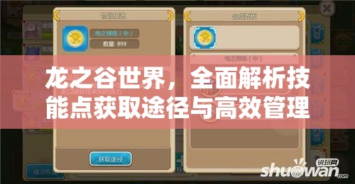 龙之谷世界，全面解析技能点获取途径与高效管理优化策略