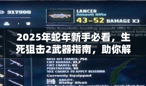 2025年蛇年新手必看，生死狙击2武器指南，助你解锁战斗潜能