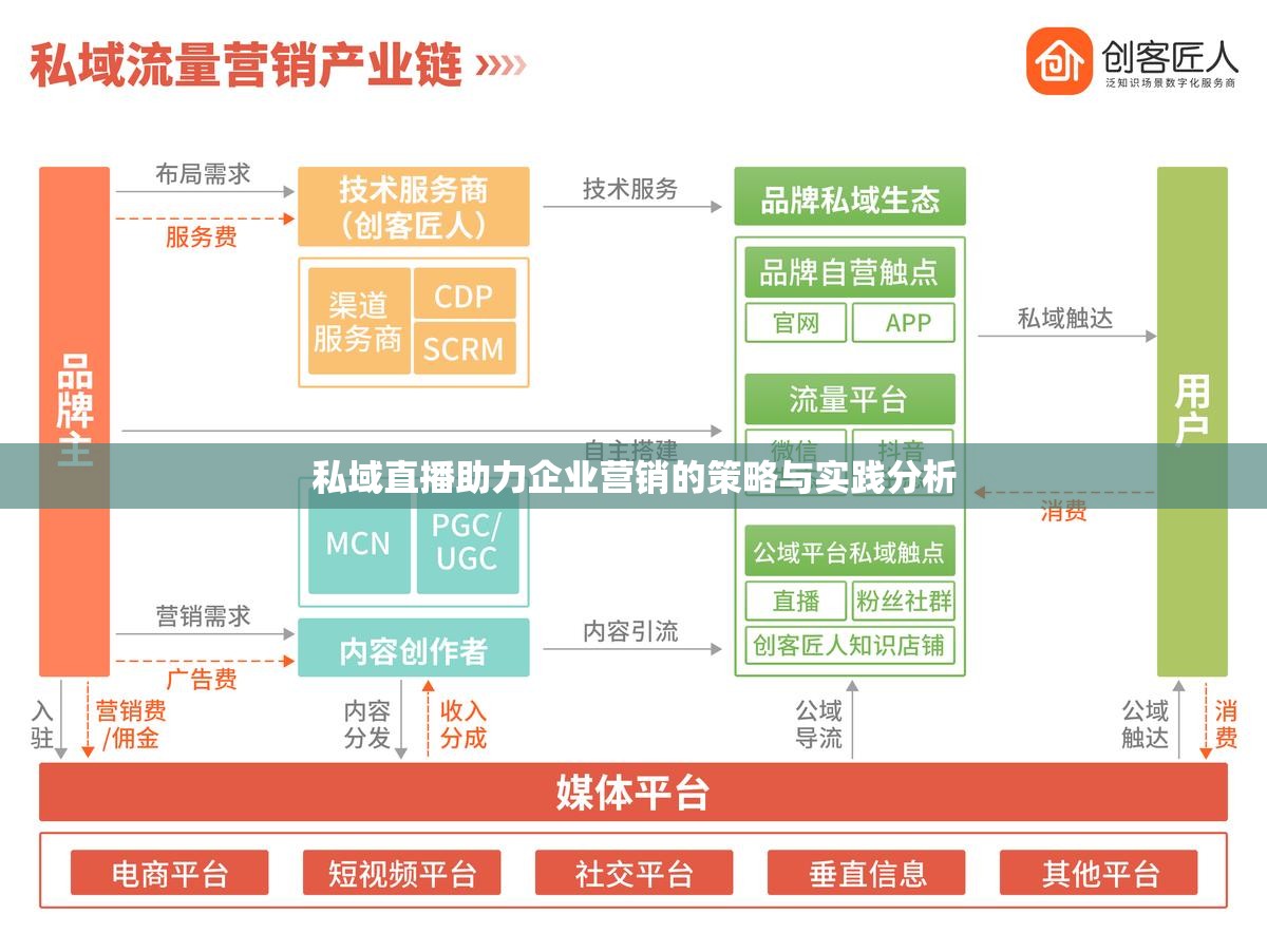 私域直播助力企业营销的策略与实践分析