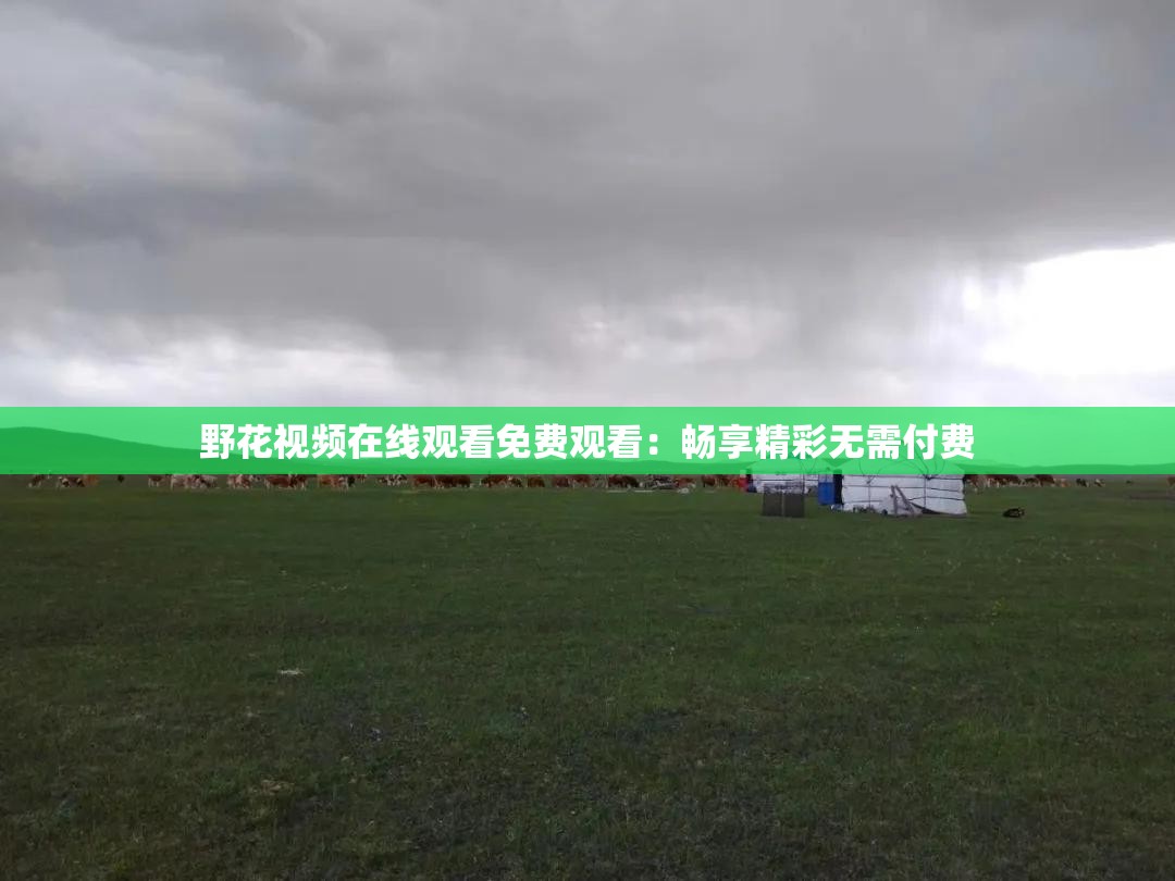 野花视频在线观看免费观看：畅享精彩无需付费