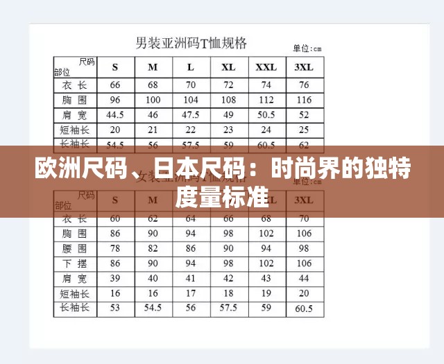 欧洲尺码、日本尺码：时尚界的独特度量标准