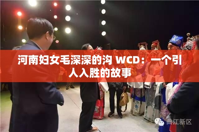 河南妇女毛深深的沟 WCD：一个引人入胜的故事