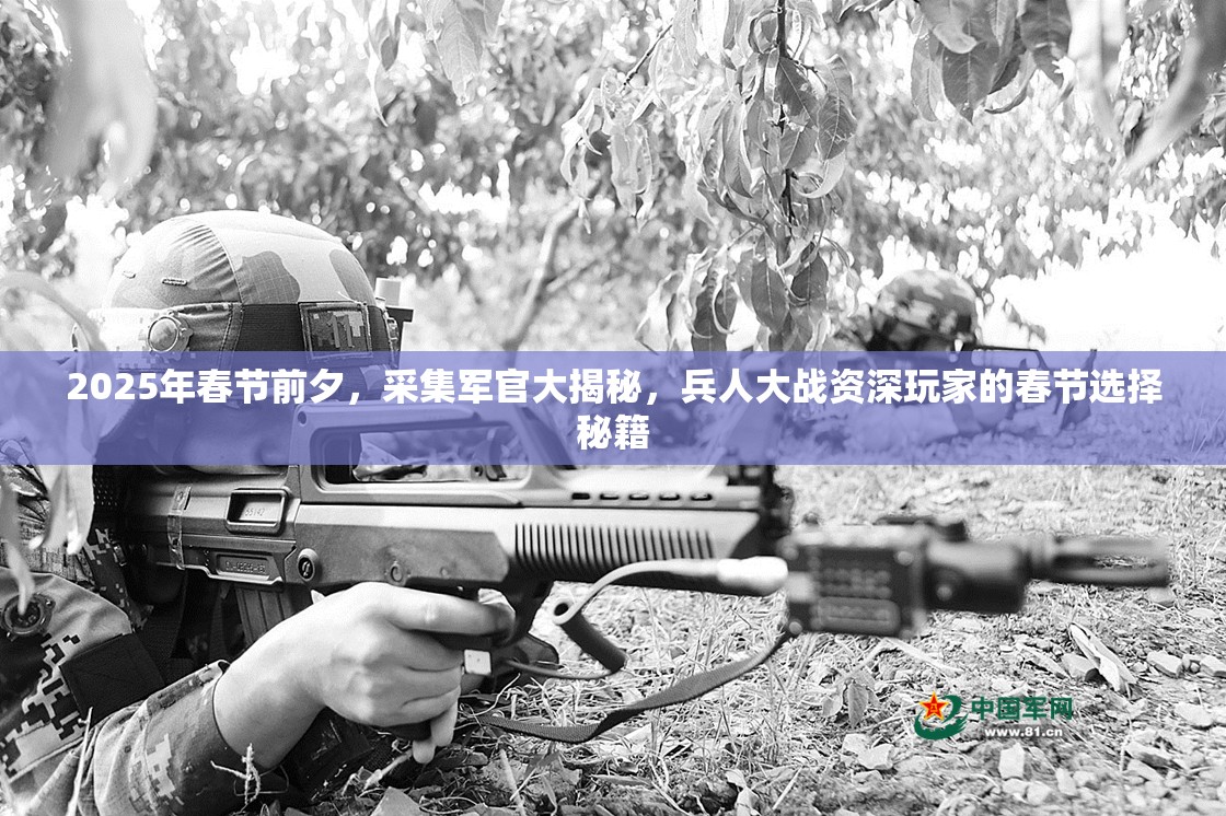 2025年春节前夕，采集军官大揭秘，兵人大战资深玩家的春节选择秘籍