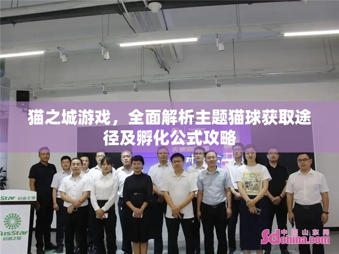 猫之城游戏，全面解析主题猫球获取途径及孵化公式攻略