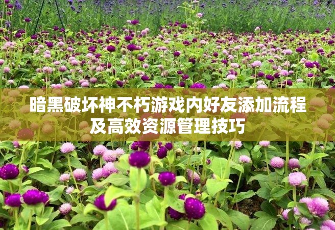 暗黑破坏神不朽游戏内好友添加流程及高效资源管理技巧