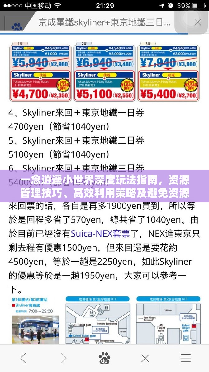 一念逍遥小世界深度玩法指南，资源管理技巧、高效利用策略及避免资源浪费详解