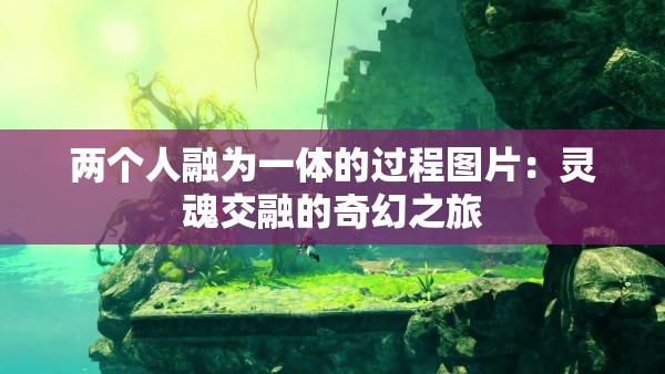 两个人融为一体的过程图片：灵魂交融的奇幻之旅