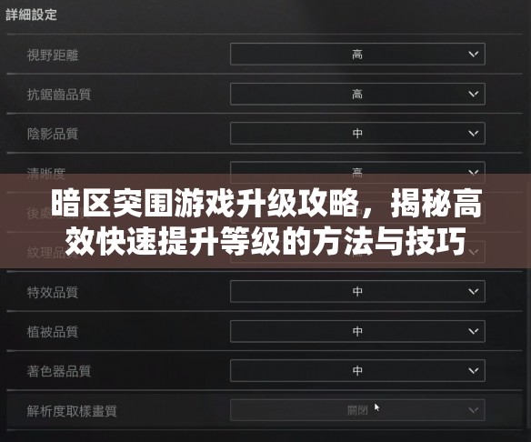 暗区突围游戏升级攻略，揭秘高效快速提升等级的方法与技巧