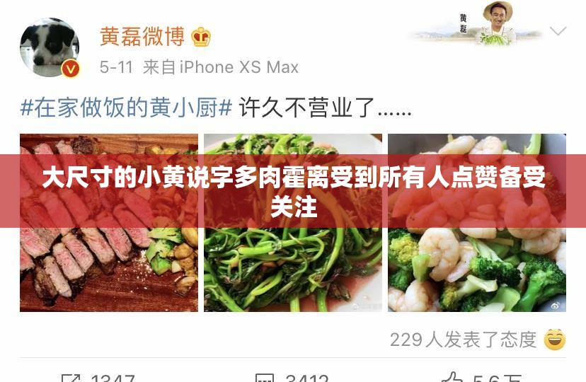 大尺寸的小黄说字多肉霍离受到所有人点赞备受关注