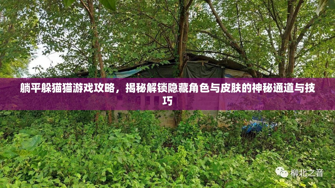 躺平躲猫猫游戏攻略，揭秘解锁隐藏角色与皮肤的神秘通道与技巧