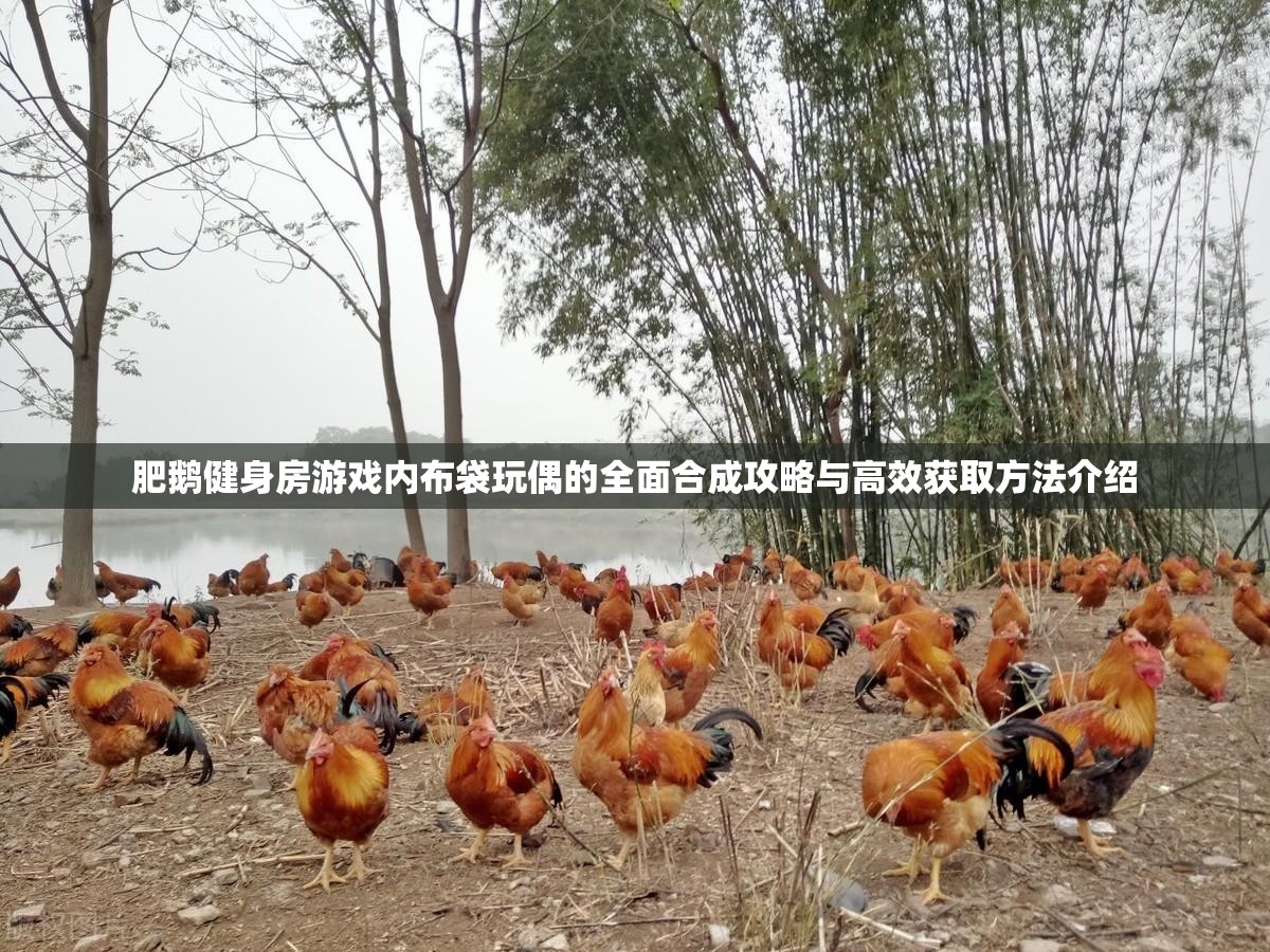 肥鹅健身房游戏内布袋玩偶的全面合成攻略与高效获取方法介绍