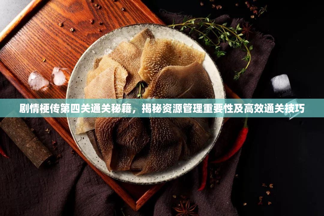 剧情梗传第四关通关秘籍，揭秘资源管理重要性及高效通关技巧