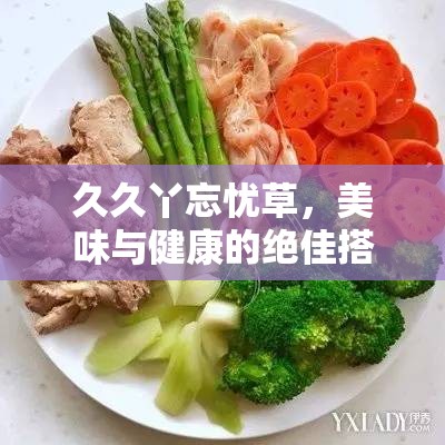 久久丫忘忧草，美味与健康的绝佳搭配