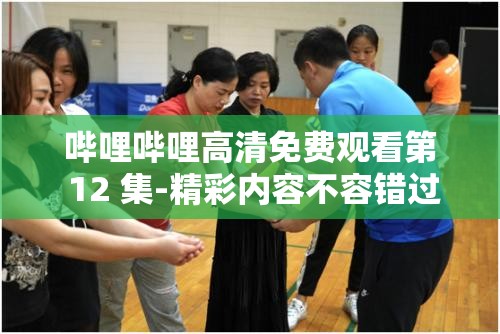 哔哩哔哩高清免费观看第 12 集-精彩内容不容错过快来体验
