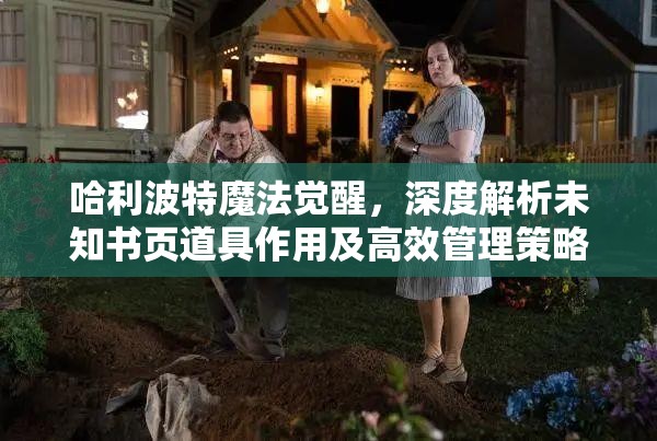 哈利波特魔法觉醒，深度解析未知书页道具作用及高效管理策略