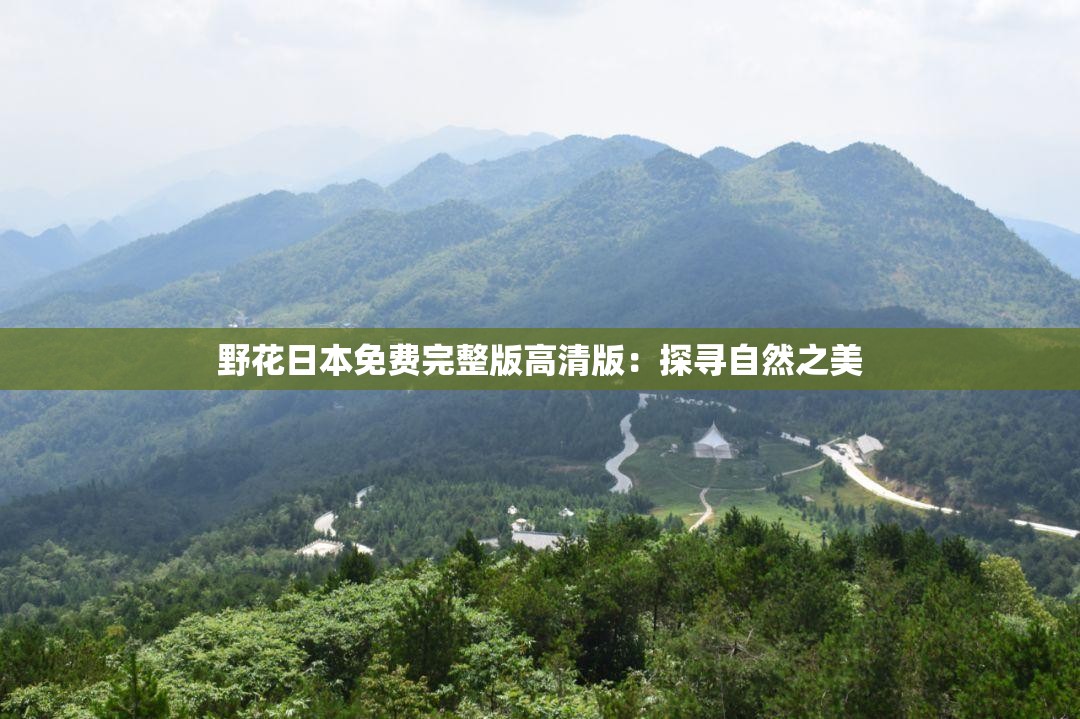 野花日本免费完整版高清版：探寻自然之美